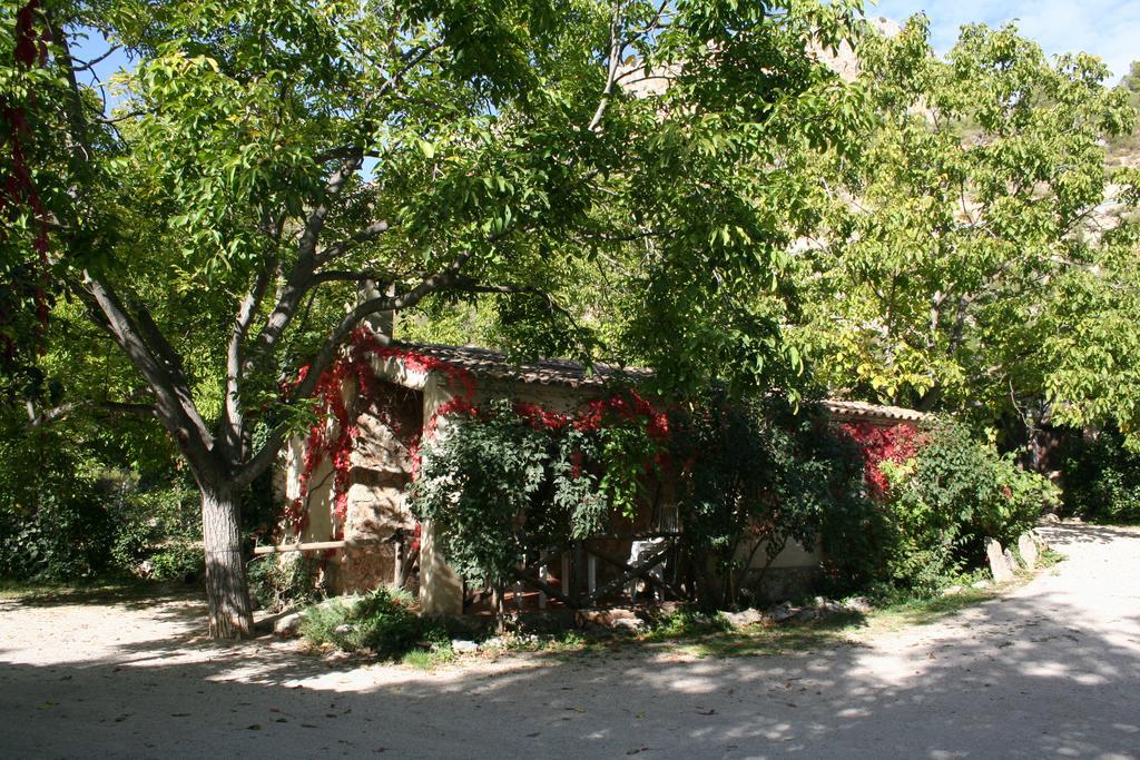 Casas Rurales Los Enebros Nerpio Exterior foto